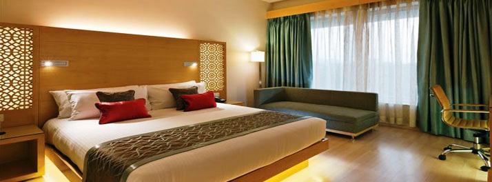 696/The Gateway Hotel GE Road - Raipur 07.jpg
